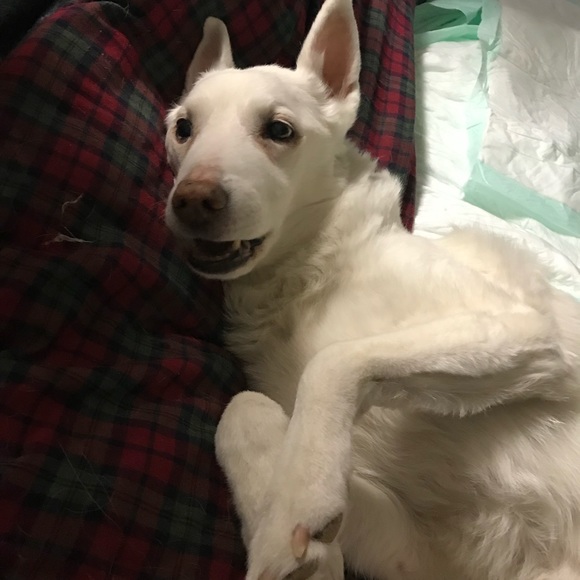 Meet your Posher, Brian - Picture 3 of 4